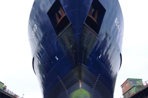 9acc9ec7-c244-4ecc-b597-1290690f51d0