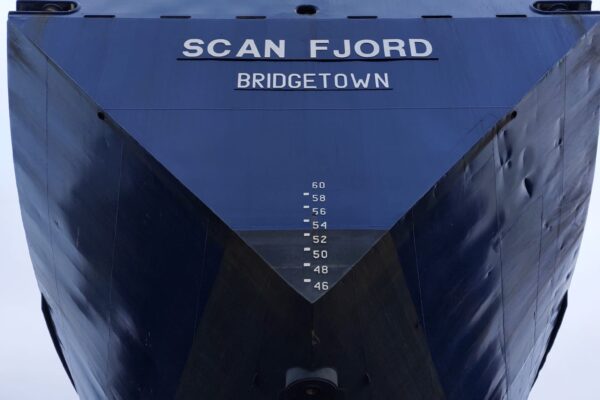 f8ca4414-c0b6-4d92-aaed-994e2ef4f908