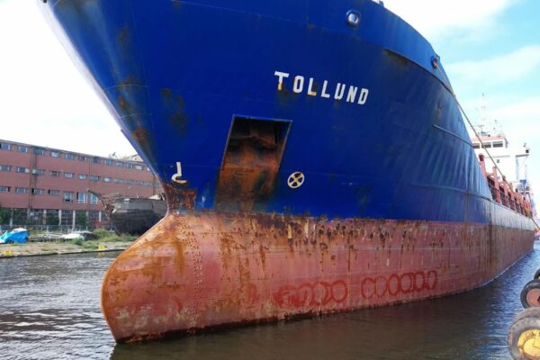tollund